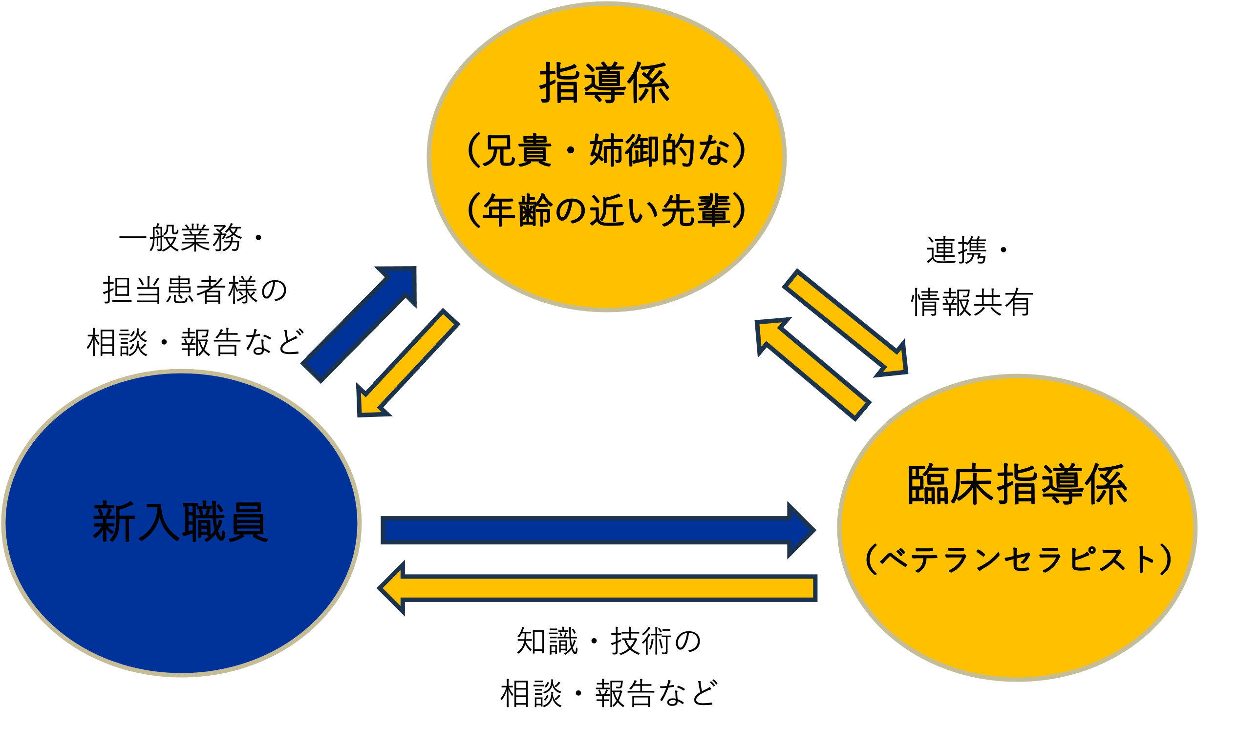 教育体制